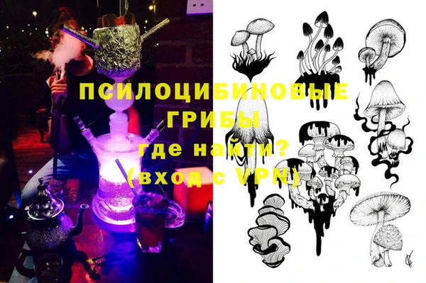 spice Аркадак
