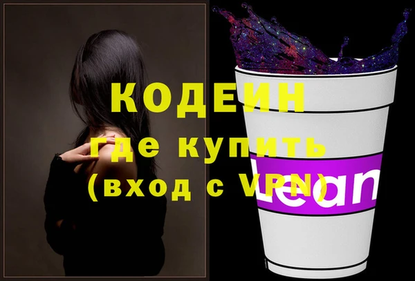 молекула духа Арсеньев