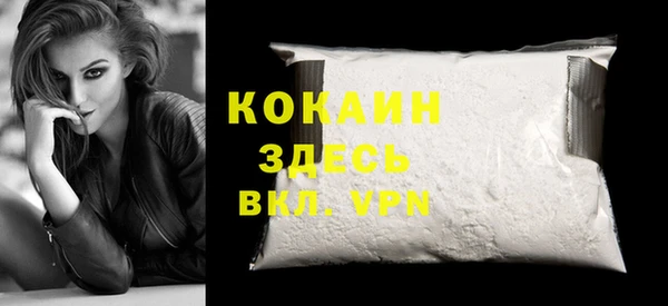 молекула духа Арсеньев