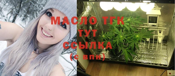 молекула духа Арсеньев