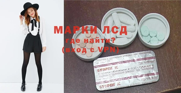spice Аркадак