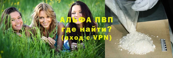 молекула духа Арсеньев