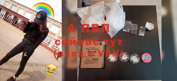 молекула духа Арсеньев