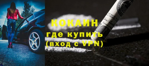 молекула духа Арсеньев