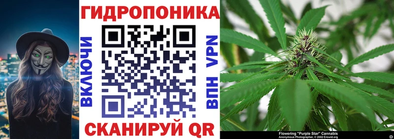 мега маркетплейс Печоры Шишки марихуана семена продажа наркотиков